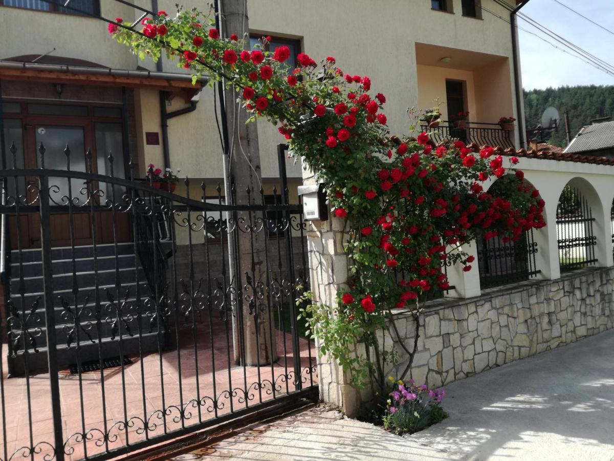 Guest House Benita デヴィン エクステリア 写真