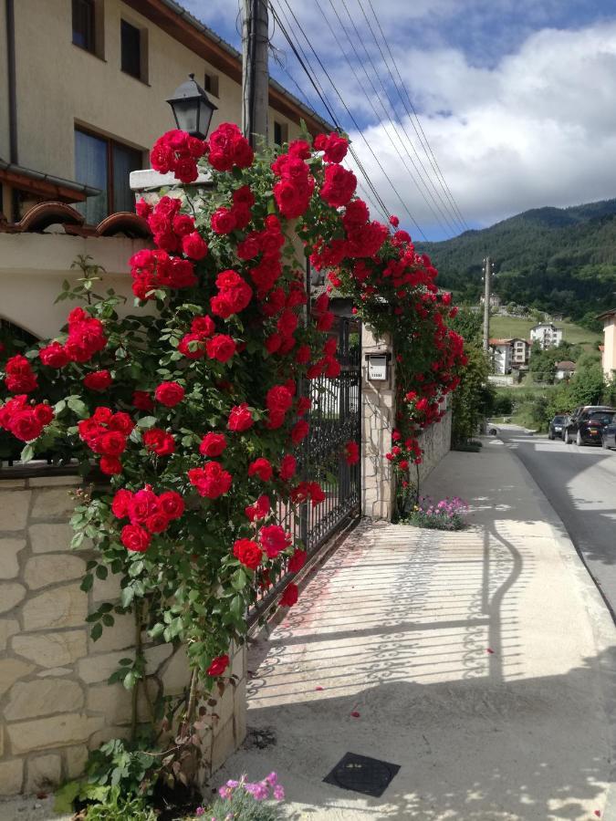 Guest House Benita デヴィン エクステリア 写真