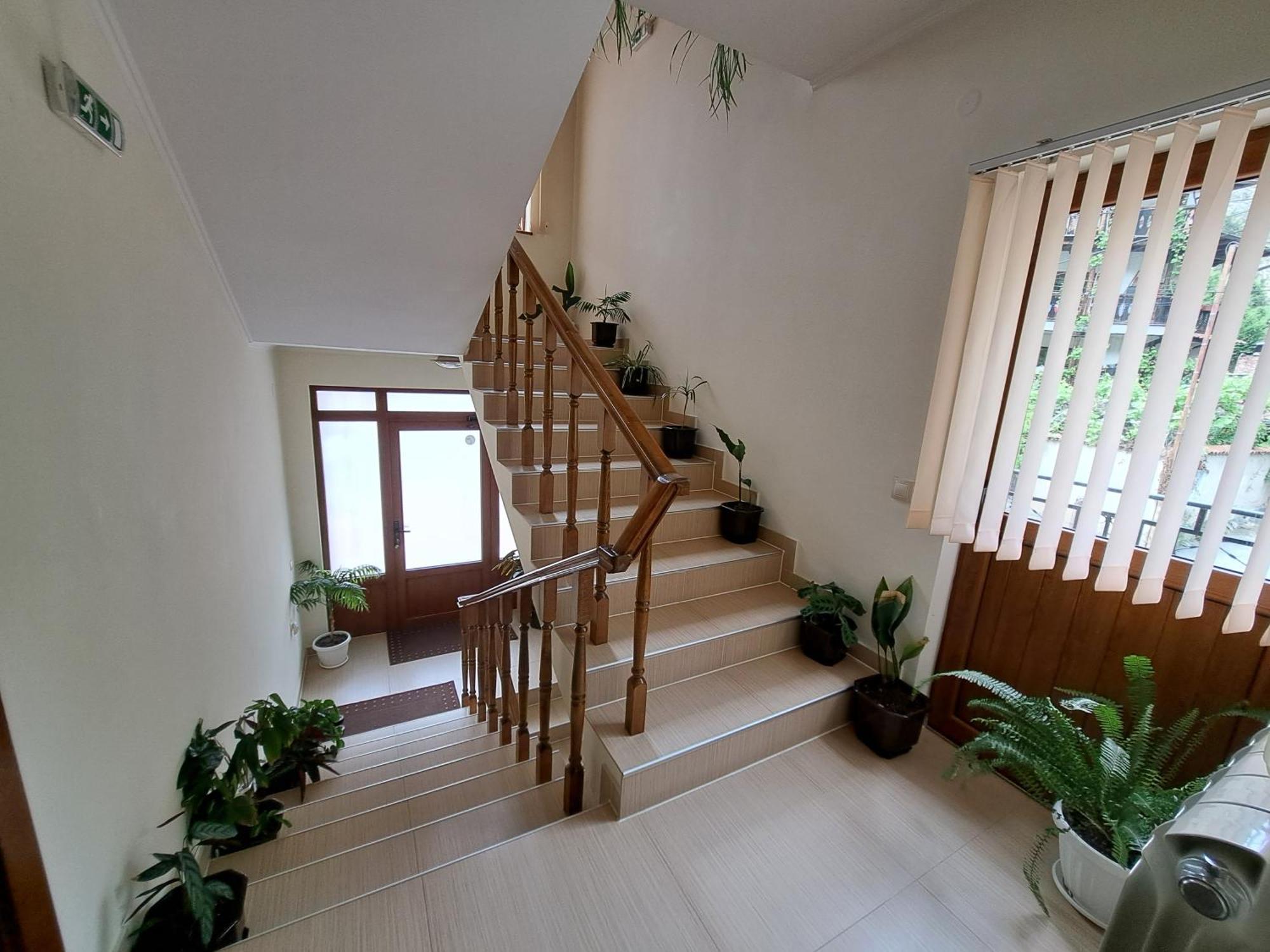 Guest House Benita デヴィン エクステリア 写真