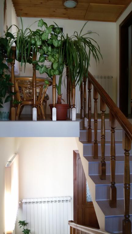 Guest House Benita デヴィン エクステリア 写真